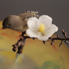 ..From East to West, Scene of Japan #126<br> Blown, Sculpted Glass; Silver Etching, Copper Plating <br>6 �  x 9 �  x 9 �  inches