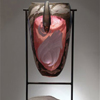 ..From East to West, Fish Hanger #139<br> Blown, Sculpted Glass; Silver Etching, Copper Plating, Metal and Stone<br>35  x 15 x 7 inches